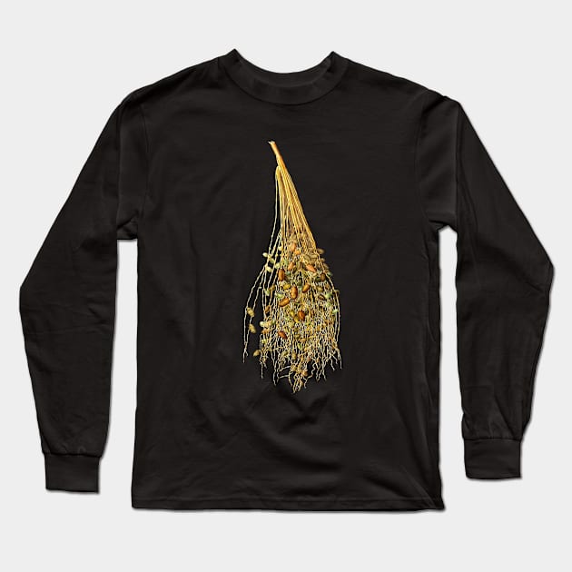 Vintage Botanical Illustration - Normal Spadice of the Palm 096 Long Sleeve T-Shirt by Holy Rock Design